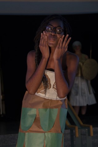 Online editor reflects on her experience as a brown bag fashion model