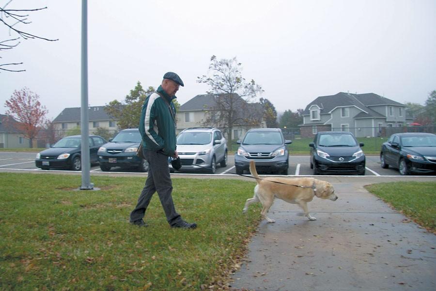 Special+education+teacher+Will+Severson+walks+Zoe+the+service+dog+up+to+school.+He+brings+his+dog+to+school+every+day.+