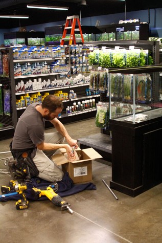 A construction worker fixes a fish tank as they make the last preparations for the reopening. 