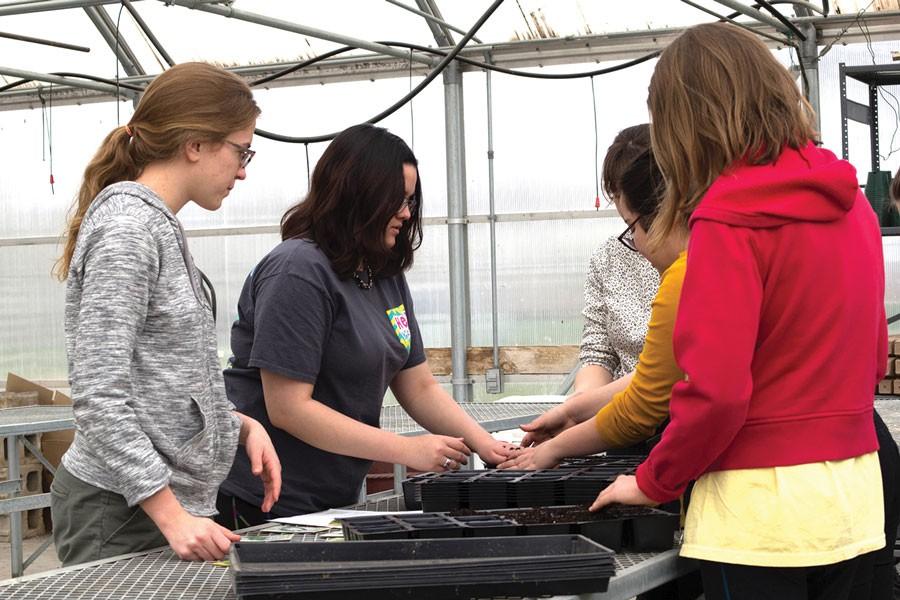 Planting in the greenhouse, members of Environmental Club, senior Christina Craig, junior Nyla Chaudhry and sophomore Carly Oliver, start lettuce, broccoli and kale seeds for Liberty Memorial Central Middle School’s garden.