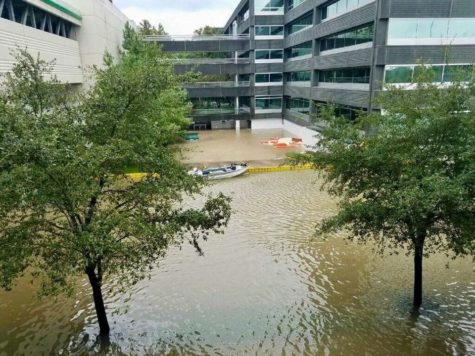 Hurricanes affects students, families