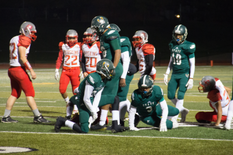 Firebirds begin playoffs with blowout win