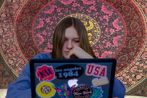 Online classes growing in popularity