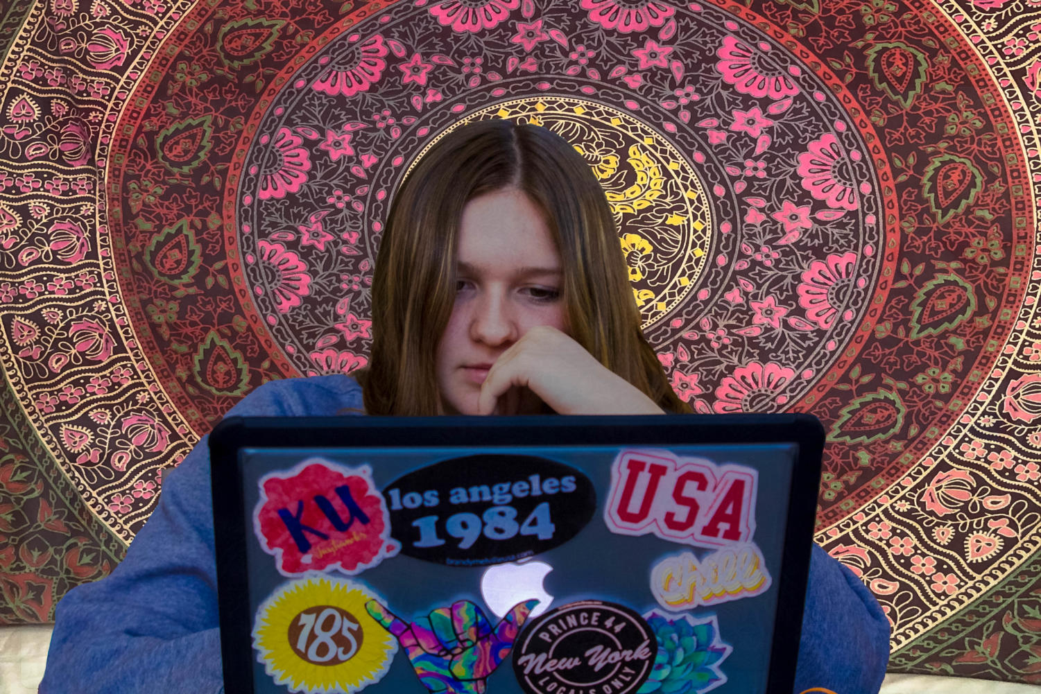 Freshman Payton Krug reviewing her online classes at home after leaving school at the end of fourth hour. This is her first semester taking classes online.