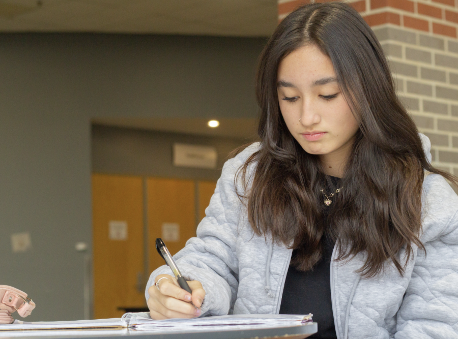 Working on AP Calculus BC homework, sophomore Anwen Williams refers back to the previous lesson. Among other classes she took, Williams said that calculus was one of her classes she was most stressed about. “In calculus class,[test grades] are weighted as 10% of your grade, so it can increase or decrease your grade by about anywhere from two to five points,” Williams said. 