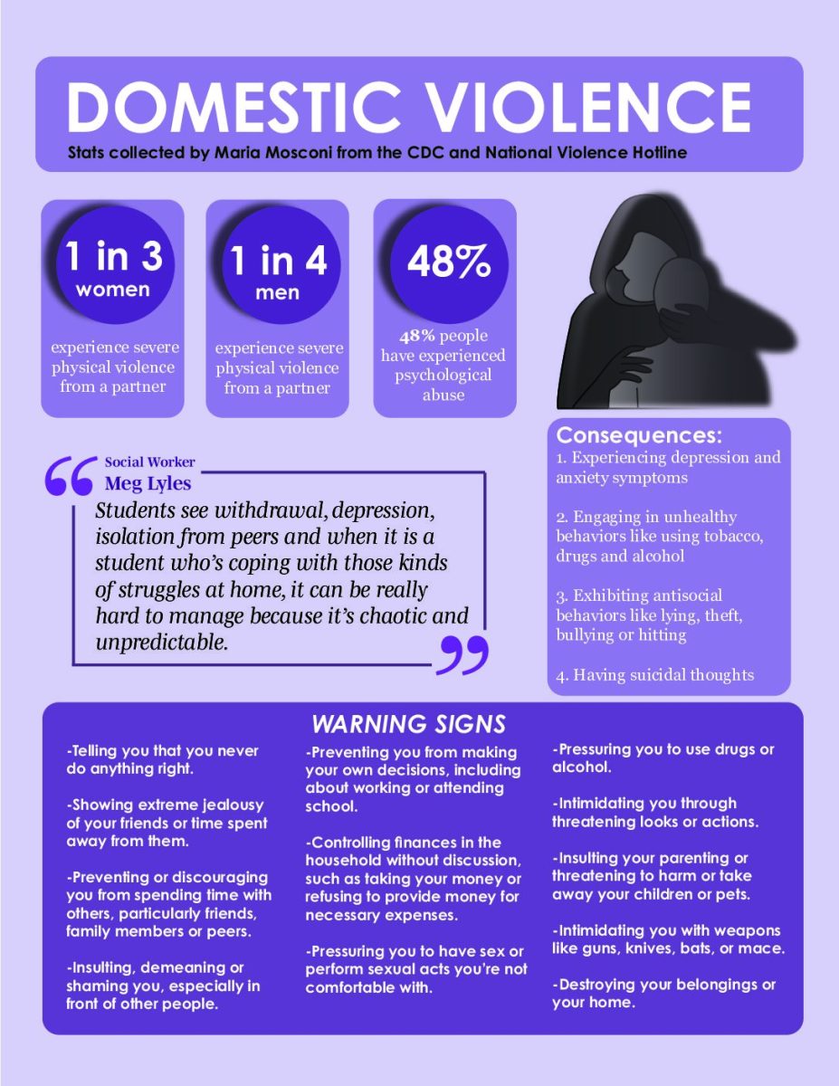Domestic Violence Infographic
