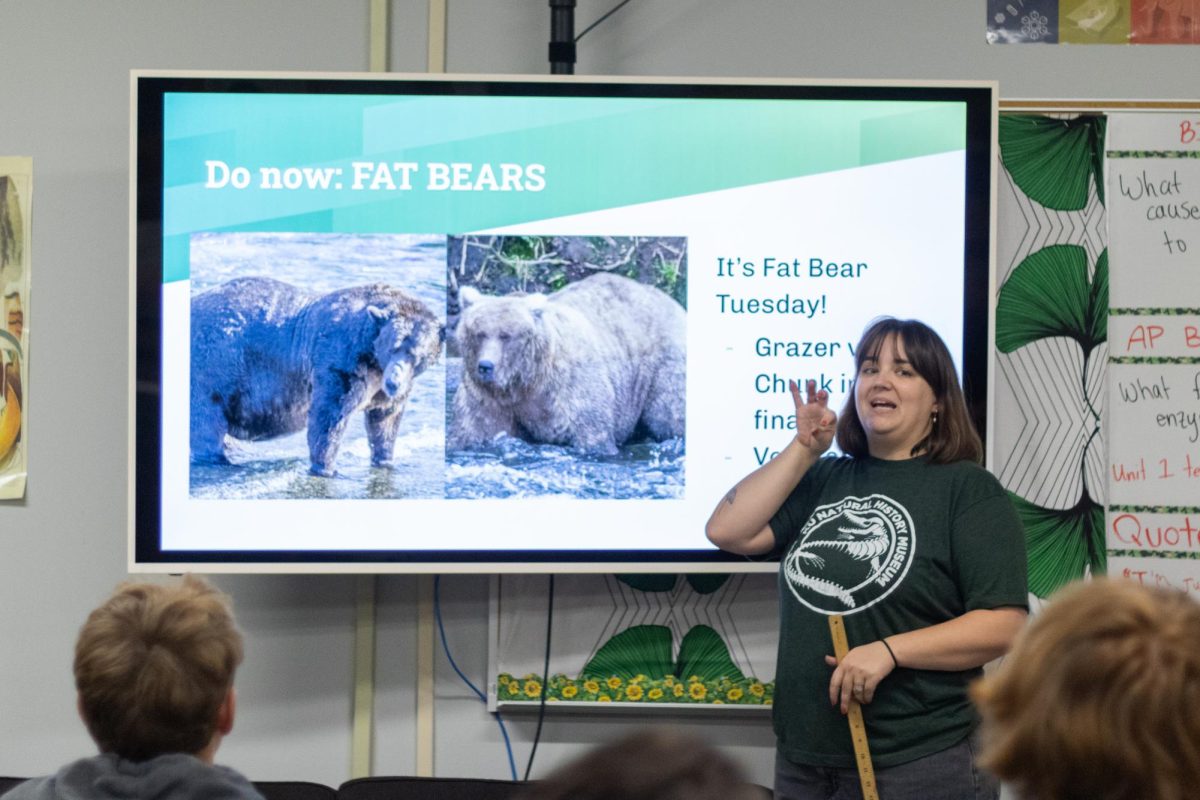 To+commemorate+the+final+day+of+Fat+Bear+Week%2C+biology+teacher+Sara+Abeita+presents+the+bears+in+the+championship+matchup.+After+learning+about+the+factors+that+cause+brown+bears+to+gain+weight%2C+her+students+each+voted+for+their+favorite+bear.+%E2%80%9CIt%E2%80%99s+a+cool+way+to+connect+with+wildlife+that%E2%80%99s+not+here+in+Kansas%2C%E2%80%9D+Abeita+said.