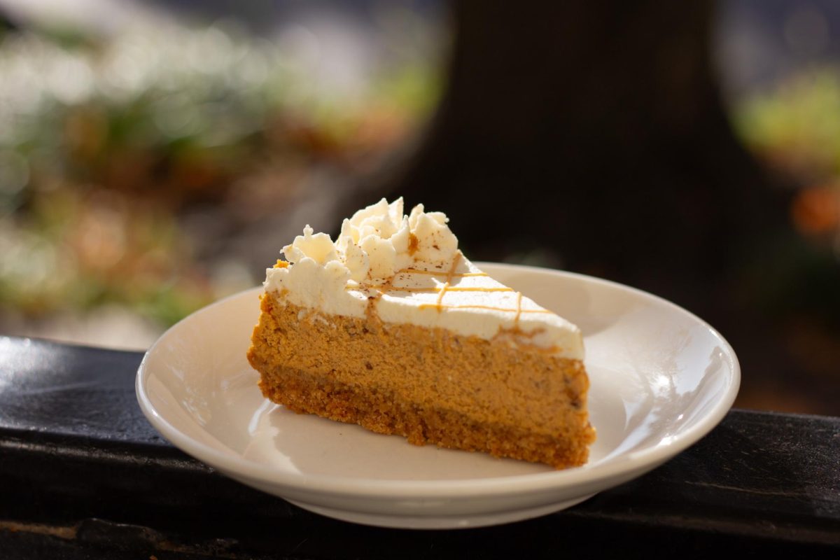 Downtown Bakery and Cafe, WheatFields, serves a Pumpkin Spice Chai Cheesecake available in single slice portions, or a full cake. This is a fan favorite to many fall food loving individuals.