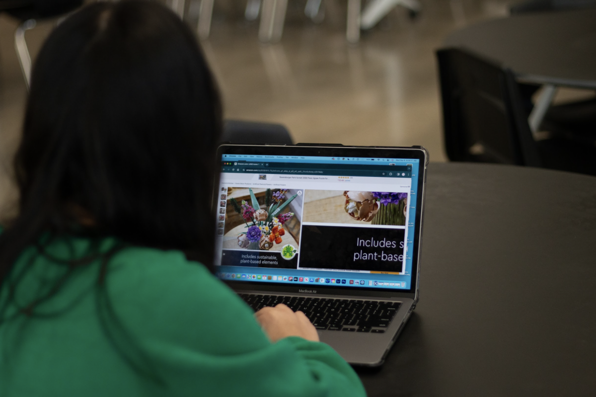 Senior Rachel Bruffett scrolls Amazon, while tempted by holiday season big sales.