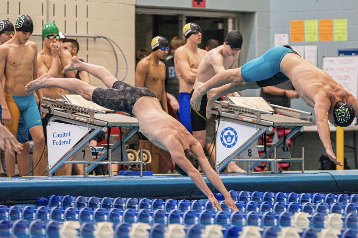 SPORTS: Boys swim and dive competes at state