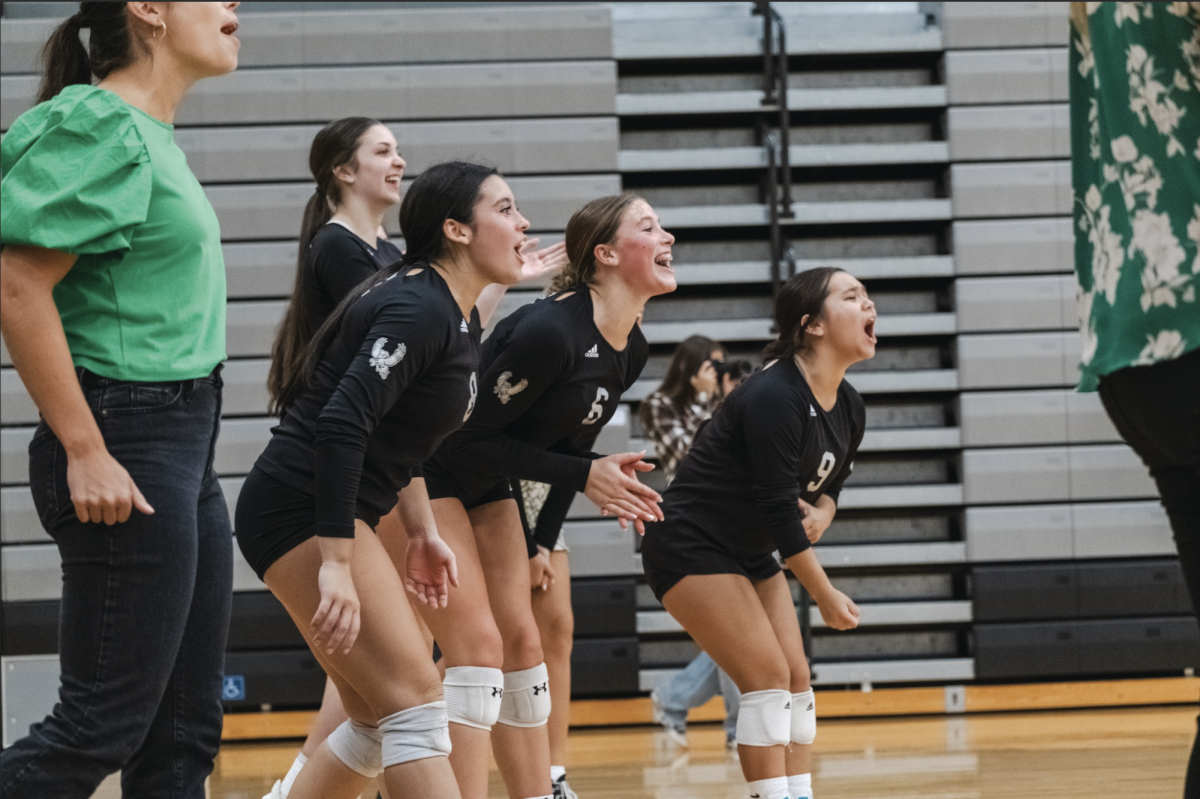 Varsity Volleyball players cheer at a game. 