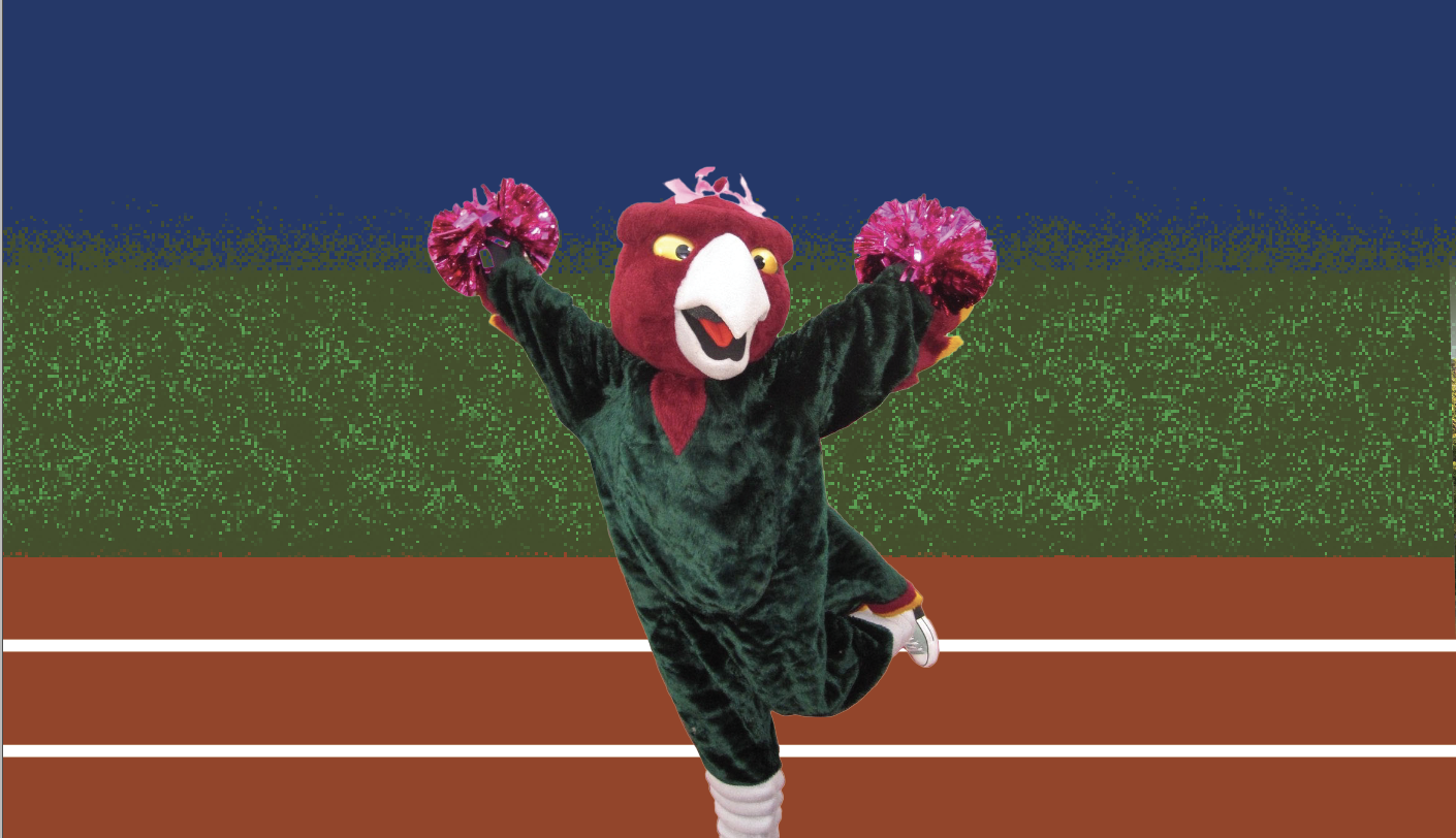 Waving her pom poms in the air, junior Olivia Storey takes photos with the Spirit Squad before the homecoming game. Photo collected from Olivia Storey. Design by Allison McCall