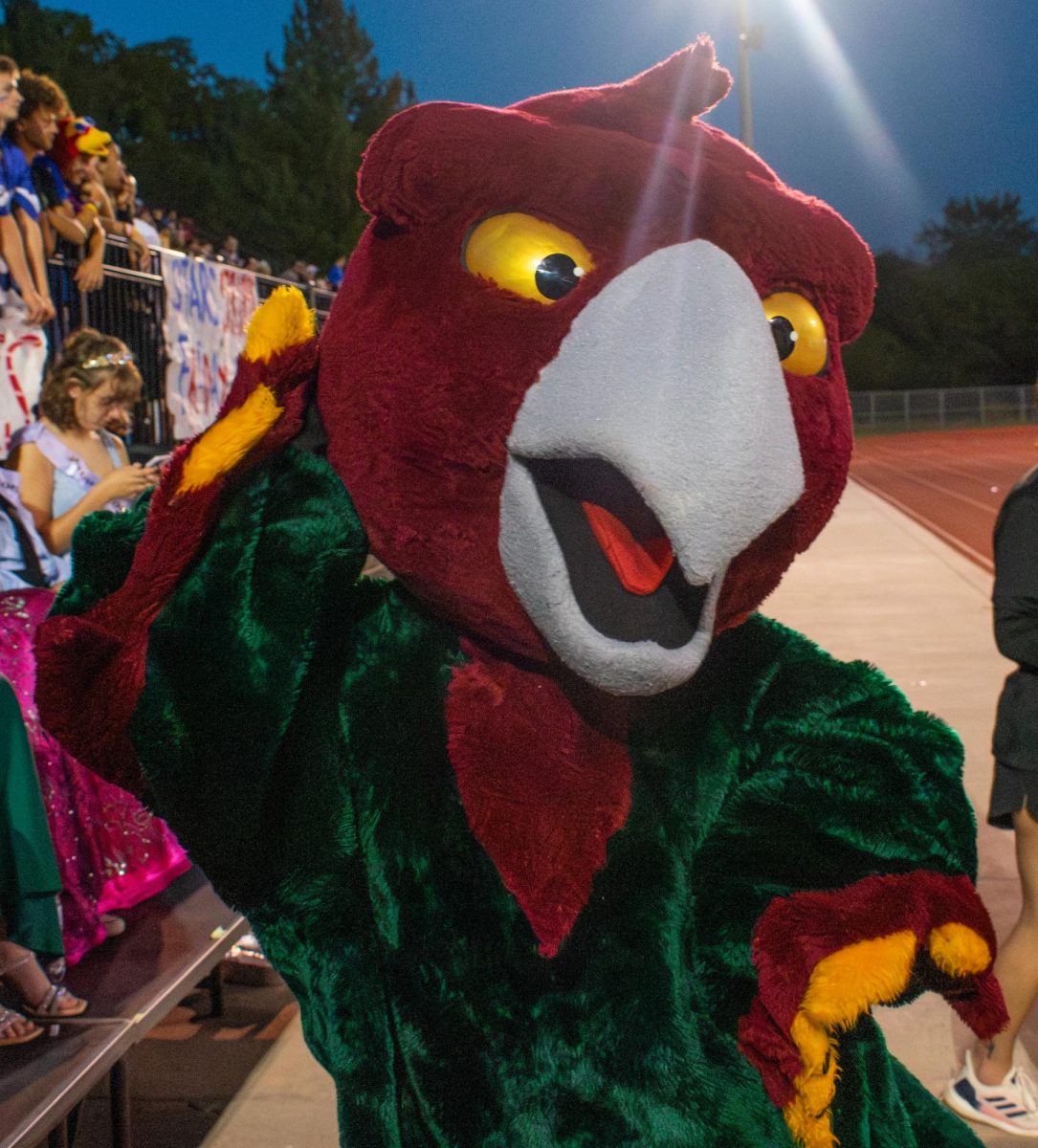 Near the football field, junior Olivia Storey poses in the Firebird suit at the Homecoming Game against Olathe East.